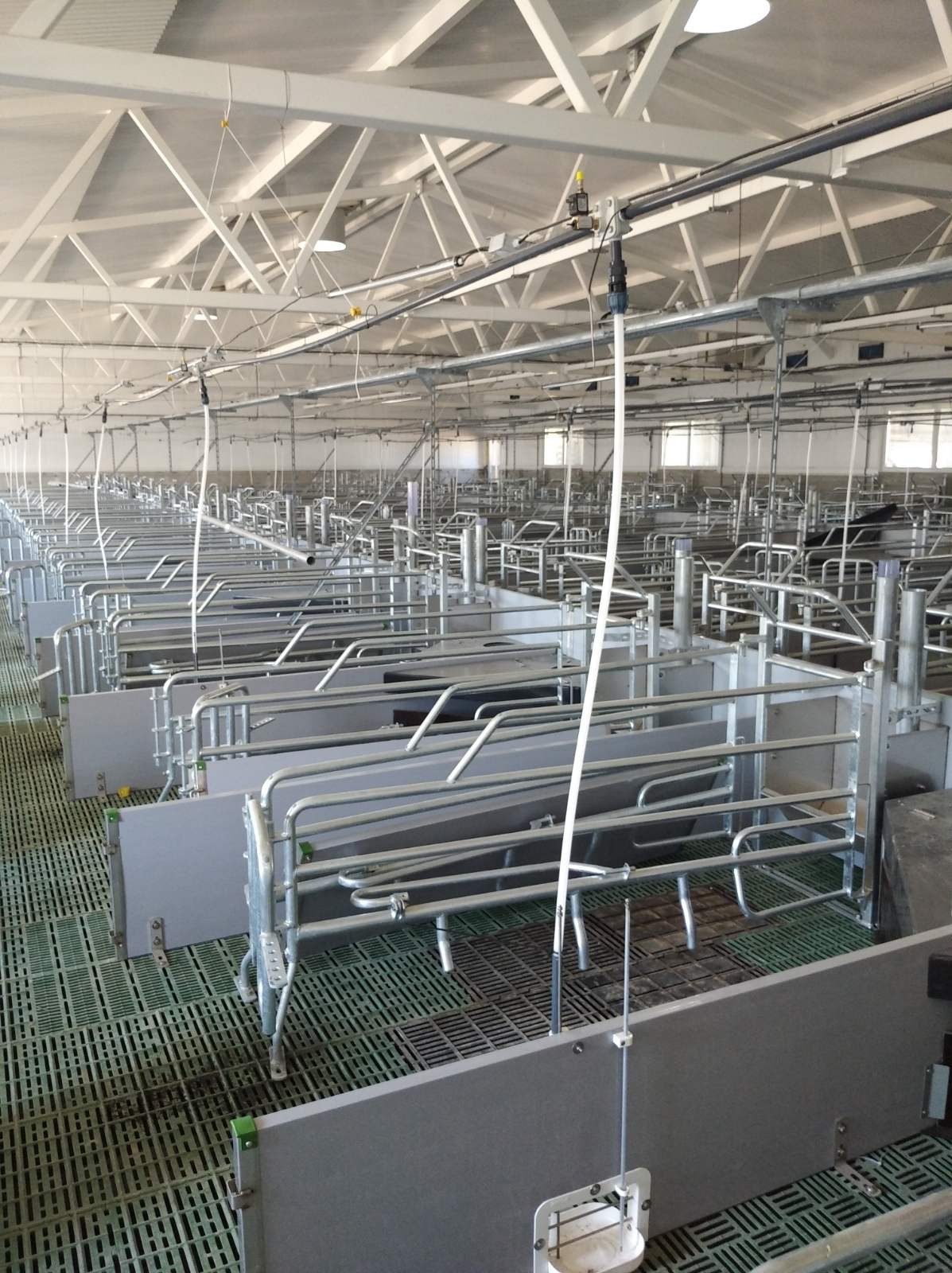 https://rotor-agroservice.ru/wp-content/uploads/2019/01/news-3.jpg